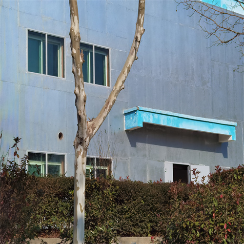 1641429959790544.jpg 4d96505a303c91ec74c7132748fc297.jpg